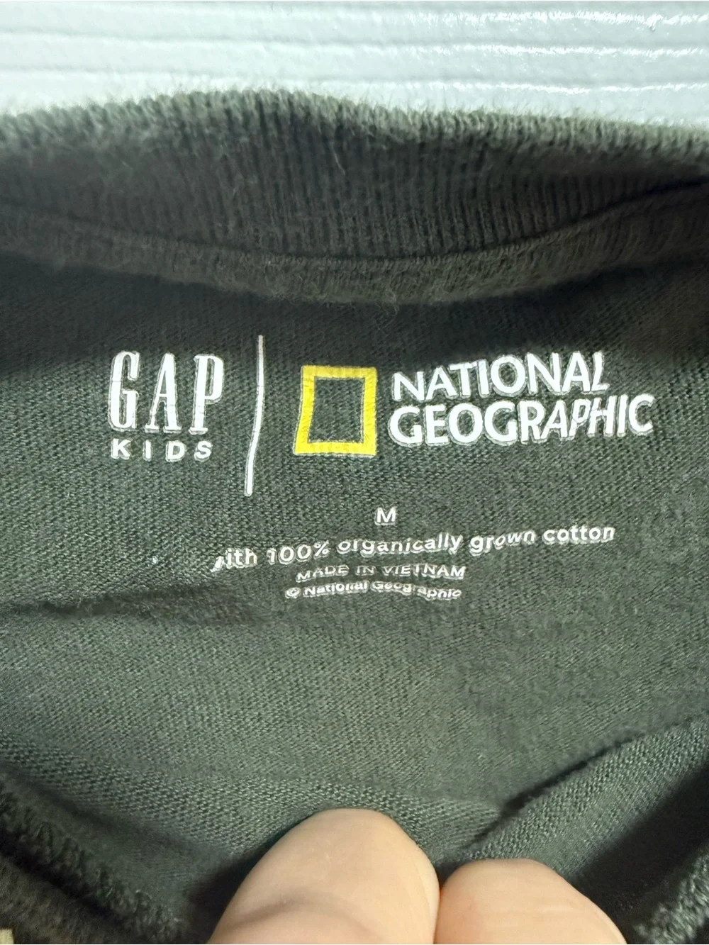 Gap Kids National Geographic Kids Olive Green Dinosaur Graphic Long Sleeve Tee